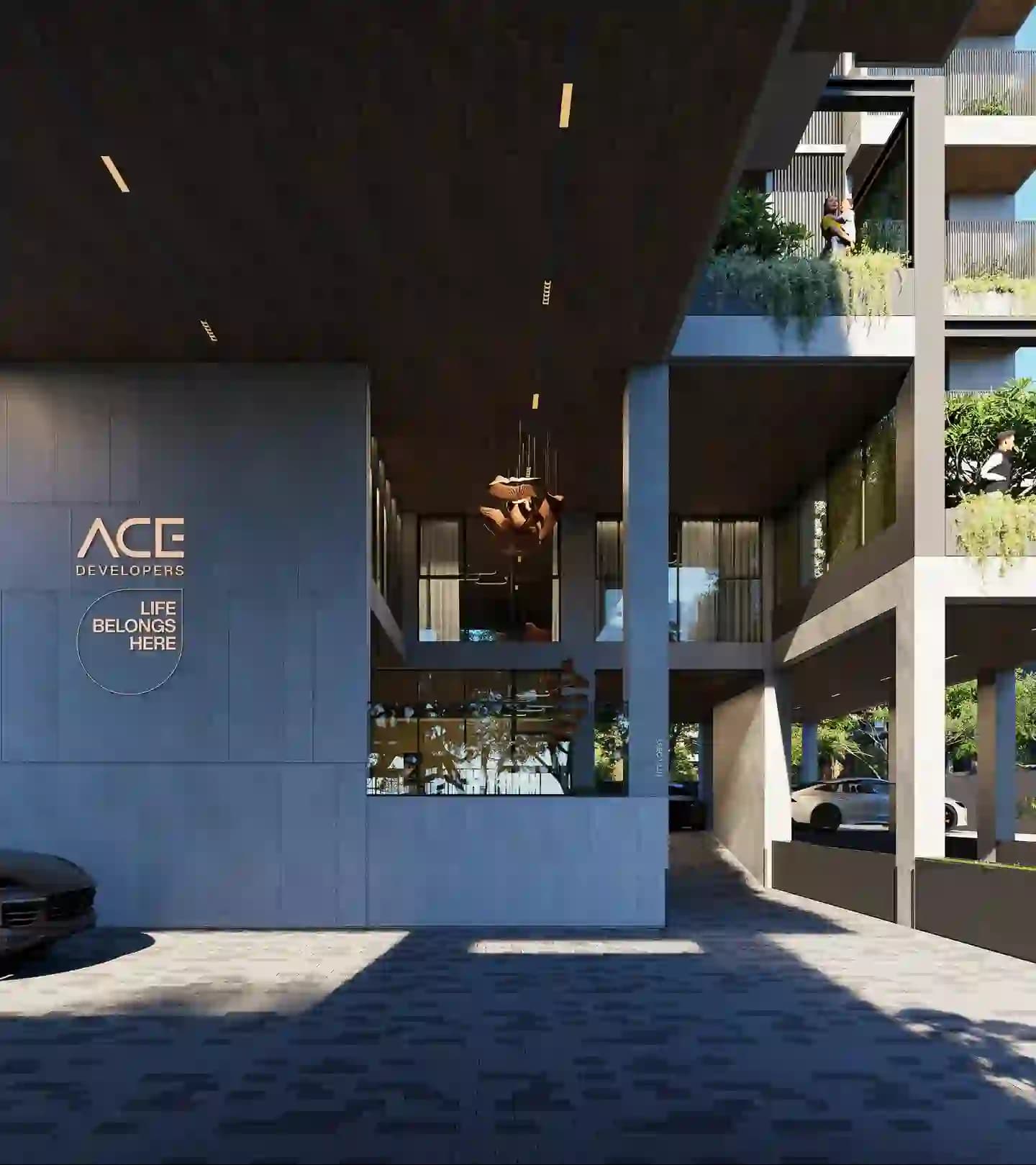 ACE Developers