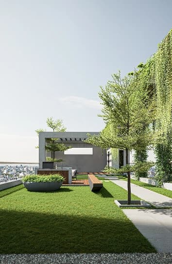 ACE Island view 2